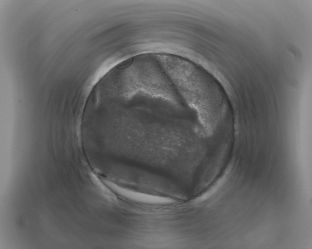 X0000114081529200910191532