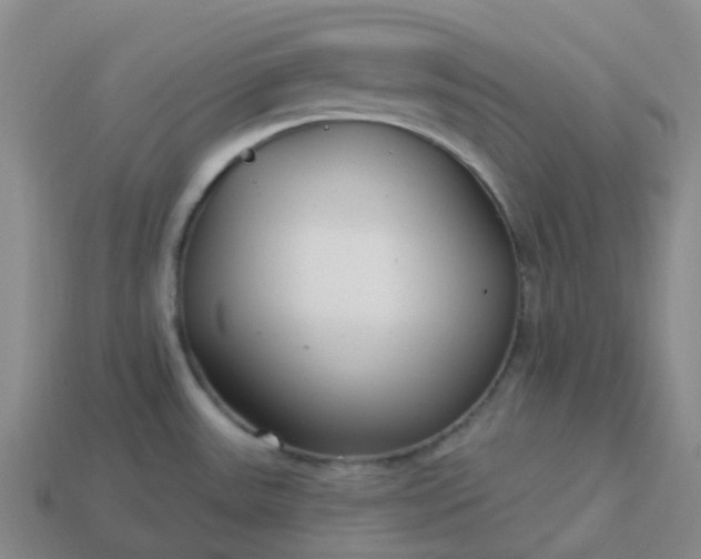 X0000114081531200910191532