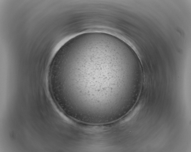 X0000114081533200910191532