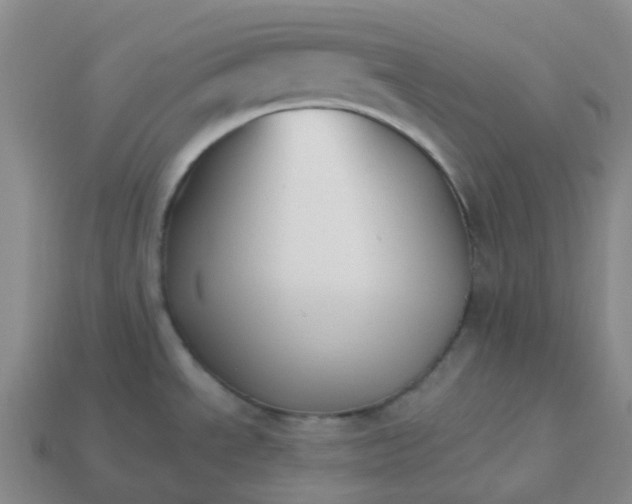 X0000114081534200910191532