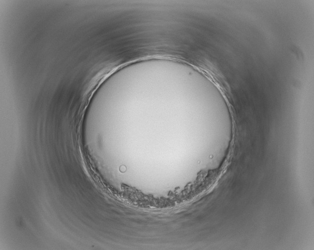 X0000114080001200911161026