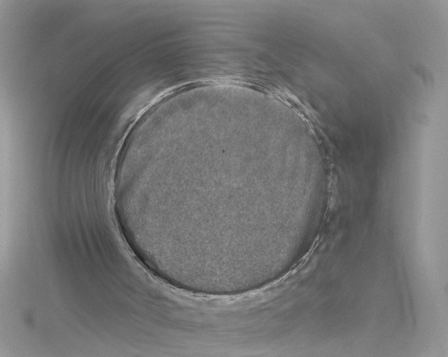 X0000114080002200911161026