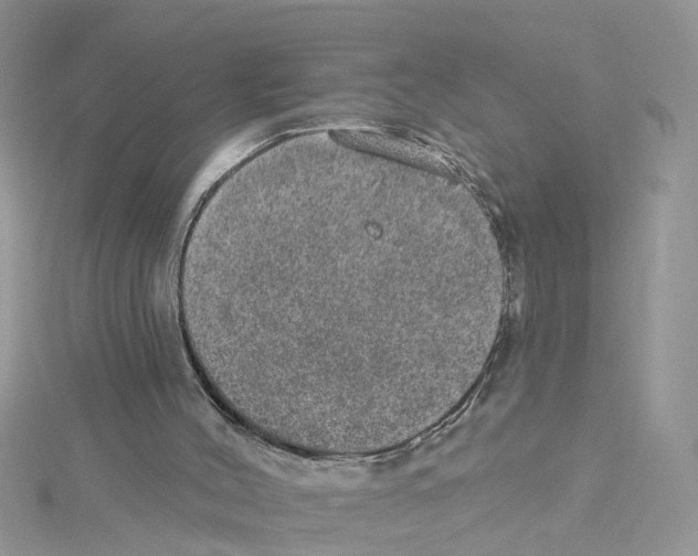 X0000114080004200911161026