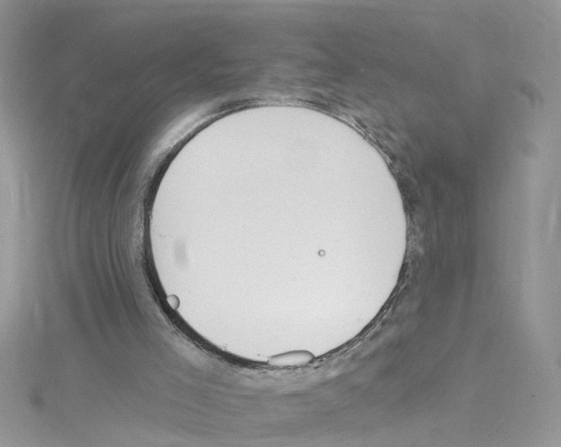 X0000114080005200911161026