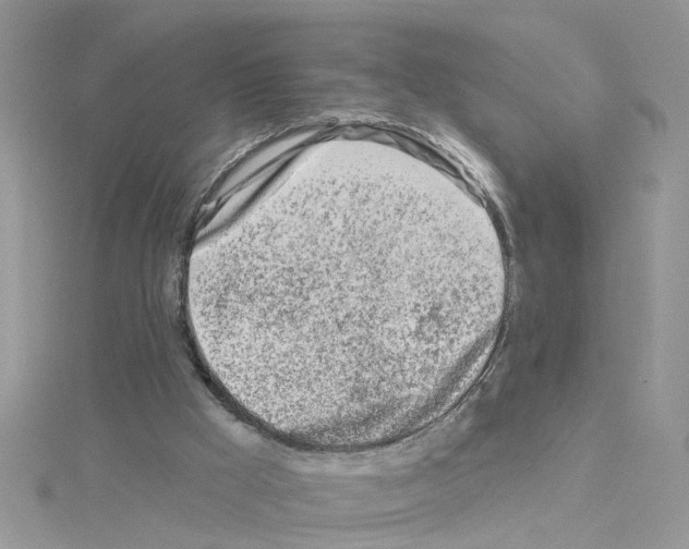 X0000114080009200911161026