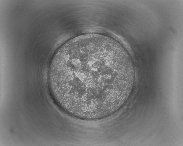 X0000114080010200911161026