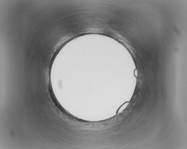 X0000114080011200911161026