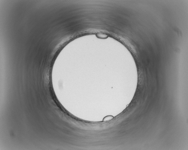 X0000114080015200911161026