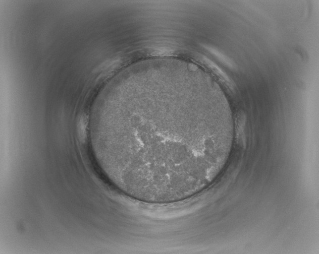 X0000114080026200911161025