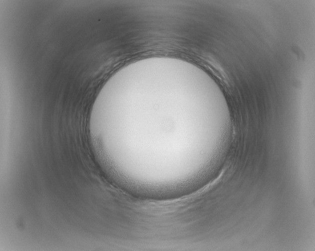 X0000114080029200911161025