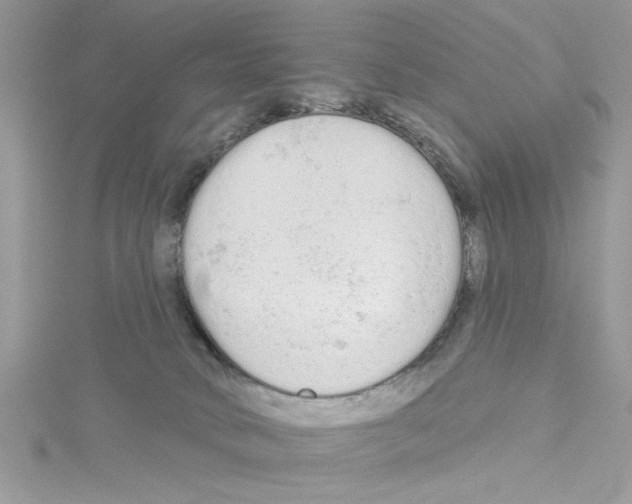 X0000114080034200911161025