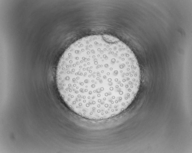 X0000114080038200911161025