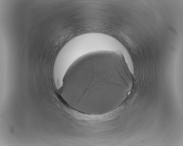 X0000114080039200911161025