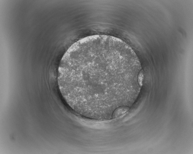 X0000114080040200911161025