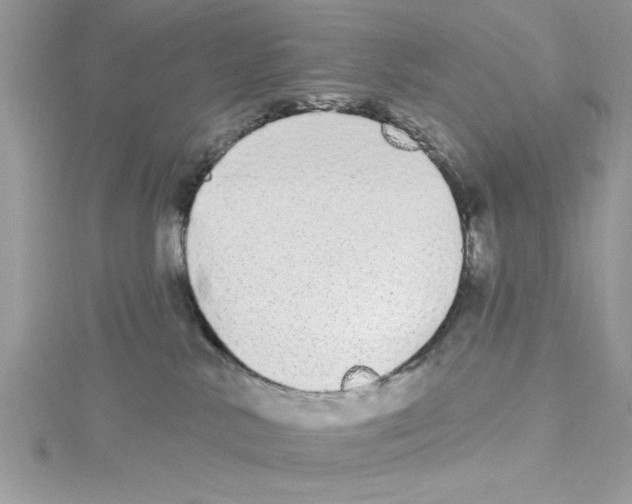 X0000114080042200911161025