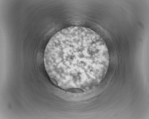 X0000114080043200911161025