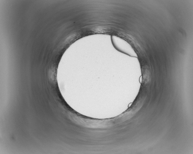 X0000114080044200911161025