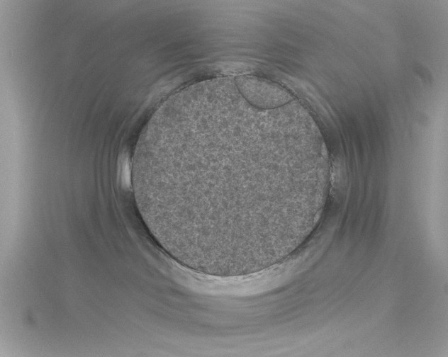 X0000114080046200911161025