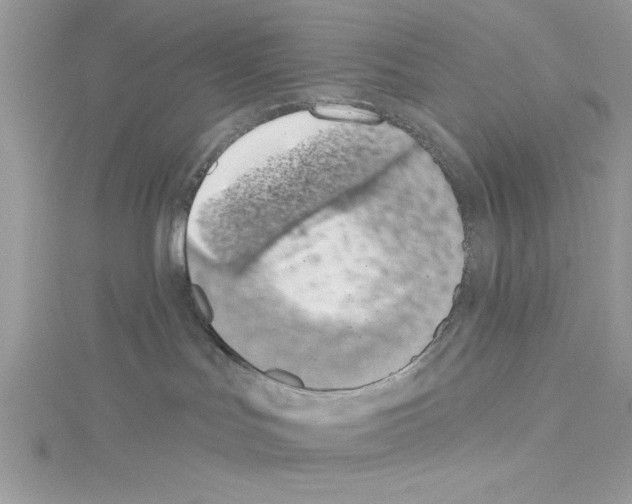 X0000114080047200911161025