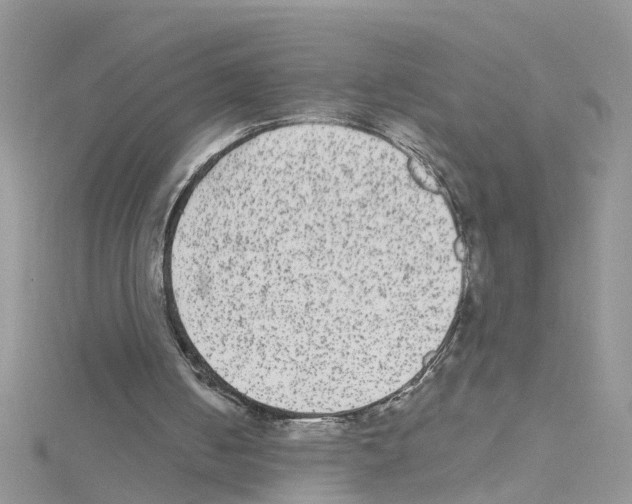 X0000114080050200911161025