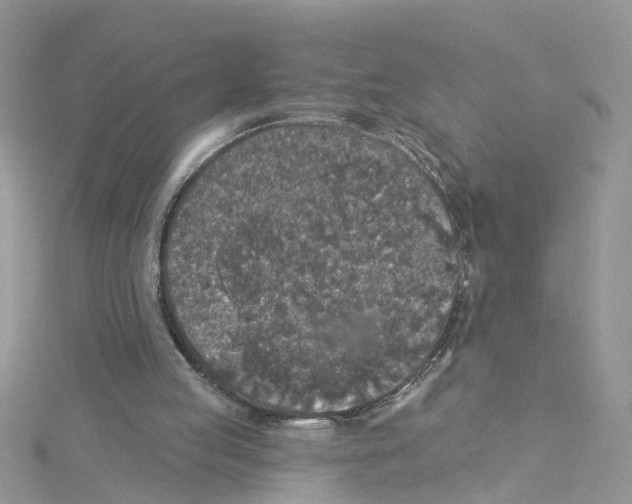 X0000114080053200911161025