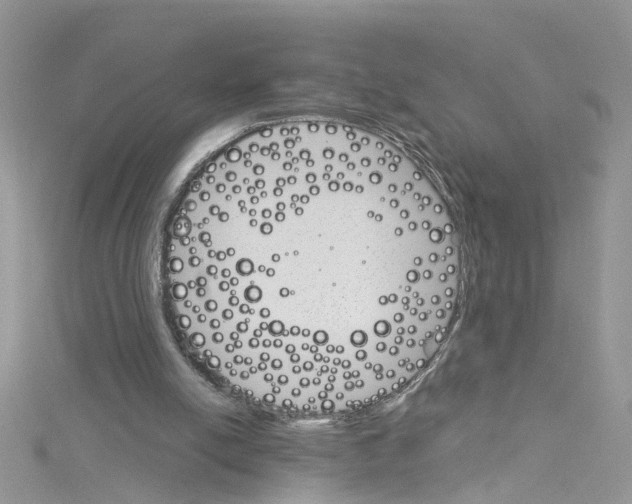 X0000114080054200911161025