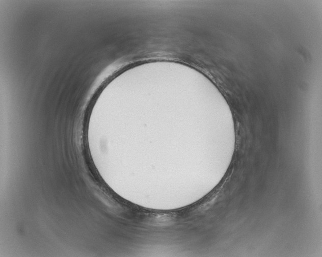 X0000114080056200911161025