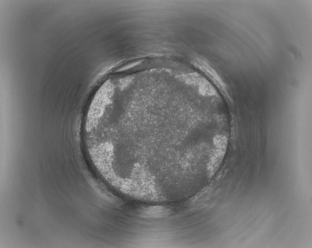 X0000114080058200911161025