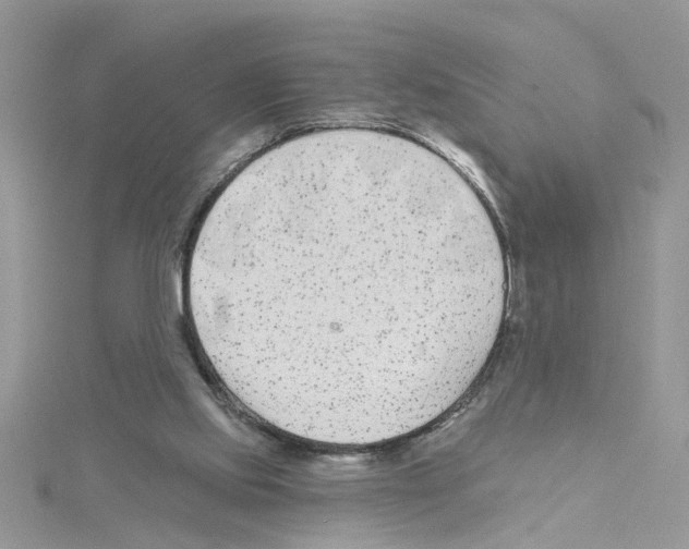 X0000114080061200911161025