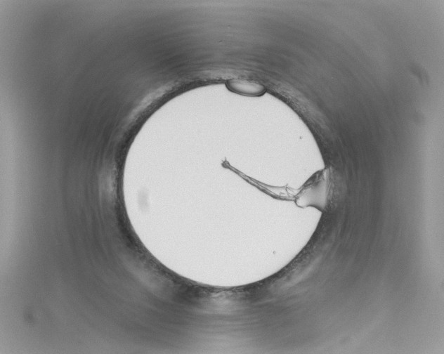 X0000114080064200911161025