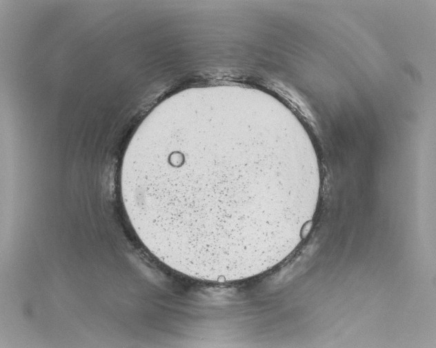 X0000114080065200911161025