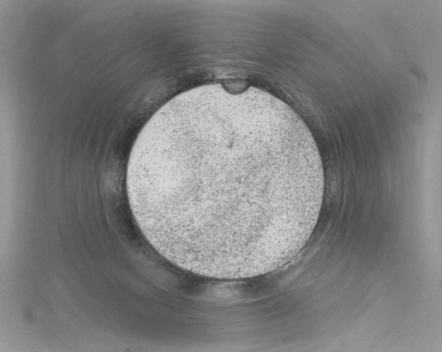 X0000114080078200911161025