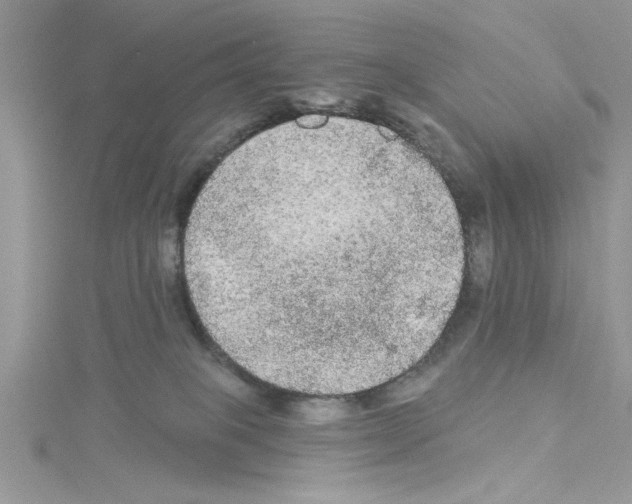 X0000114080085200911161025