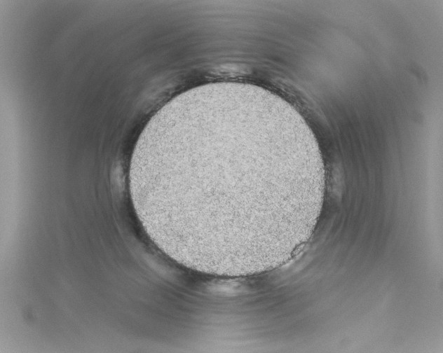 X0000114080086200911161025