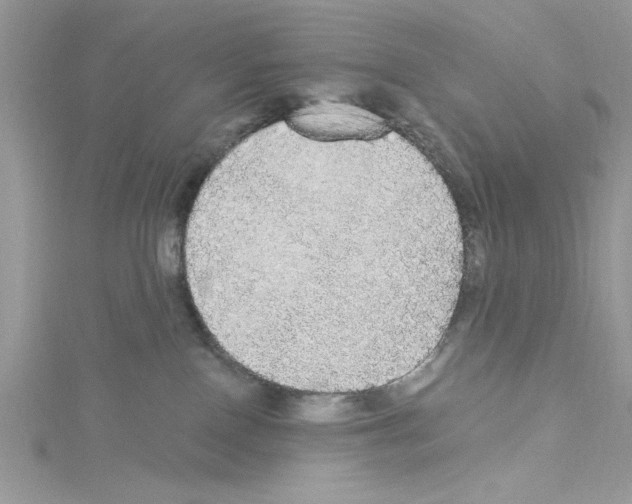 X0000114080090200911161025