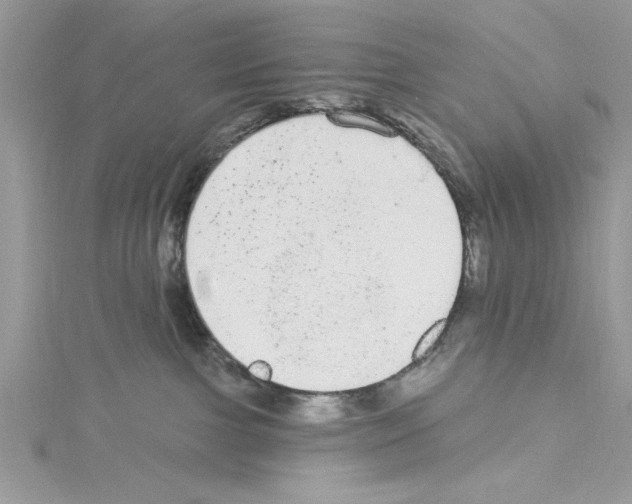 X0000114080091200911161025