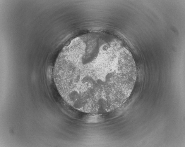 X0000114080093200911161025