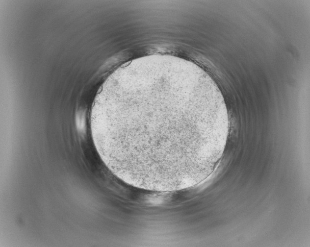 X0000114080094200911161025