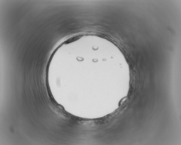 X0000114080100200911161024