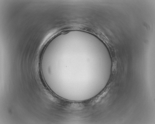 X0000114080101200911161024