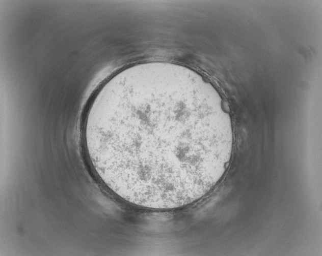 X0000114080102200911161024