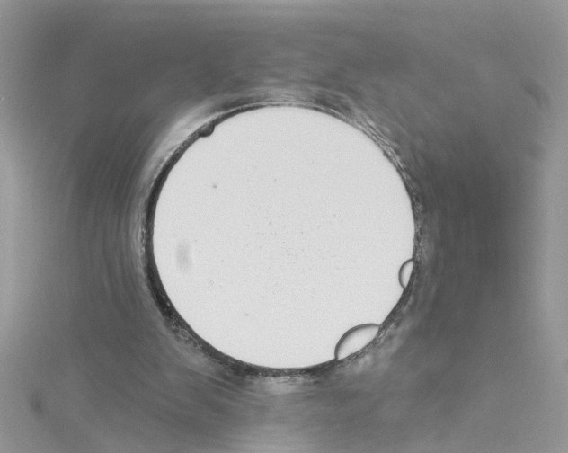 X0000114080103200911161024