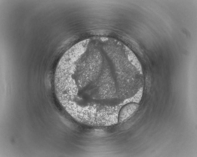 X0000114080114200911161024