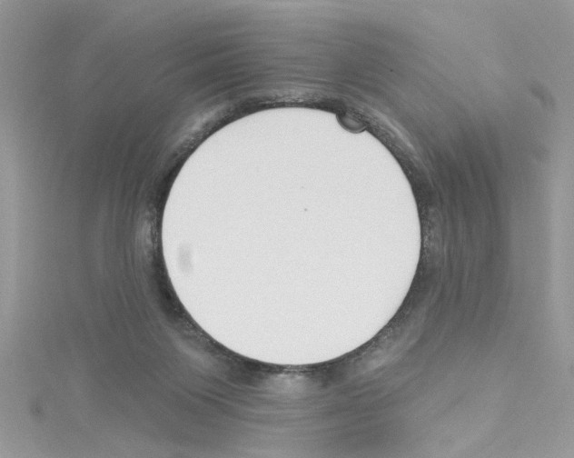 X0000114080119200911161024