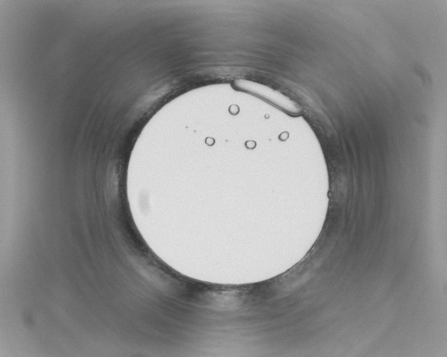 X0000114080120200911161024