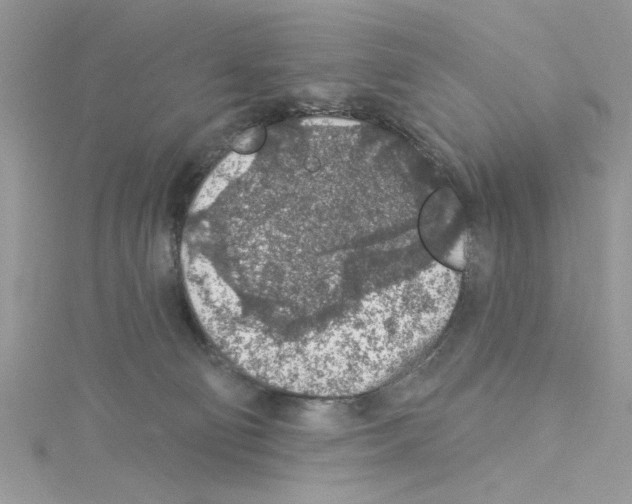 X0000114080130200911161024