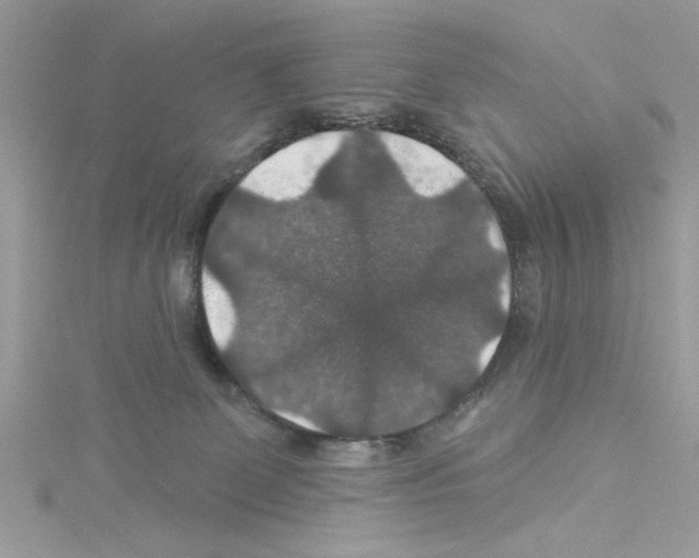 X0000114080131200911161024