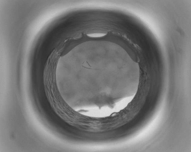 X0000114080143200911161024