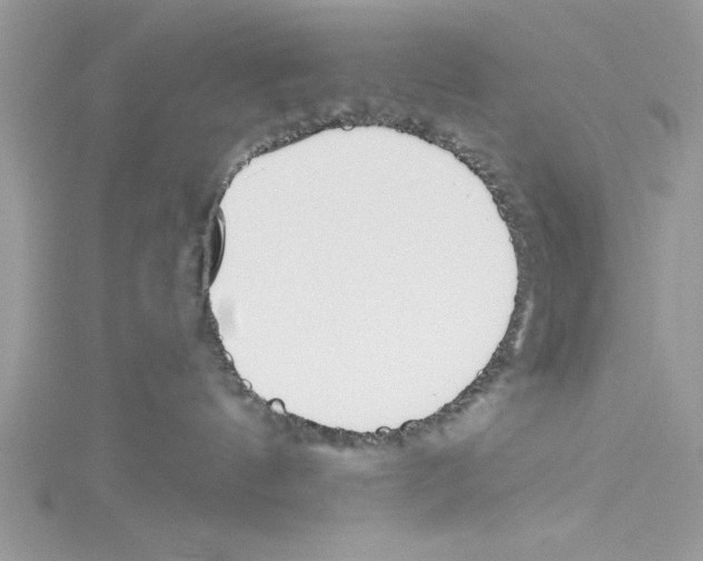 X0000114080144200911161024