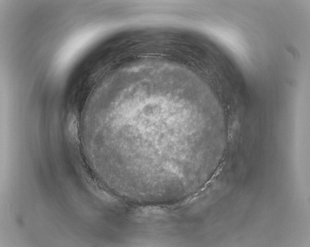 X0000114080146200911161023